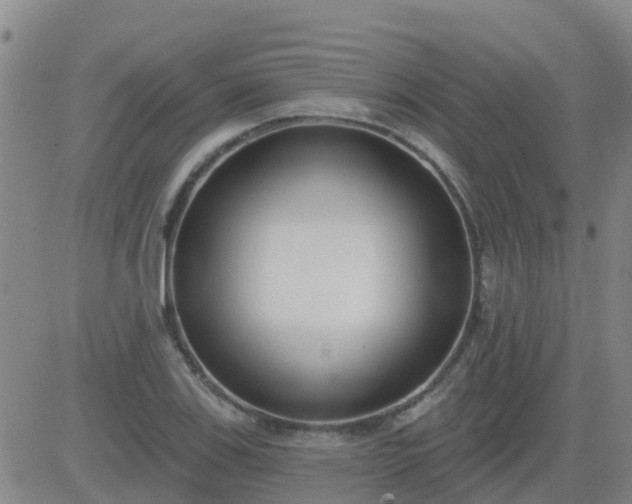 X0000083531123200702161905