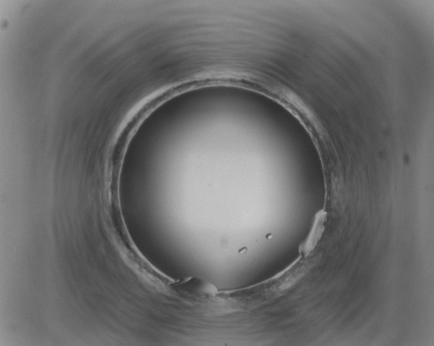 X0000083531124200702161905