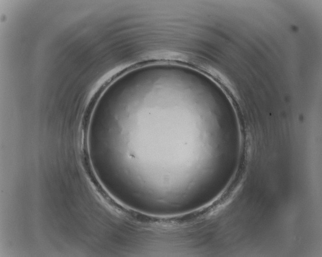 X0000083531125200702161905