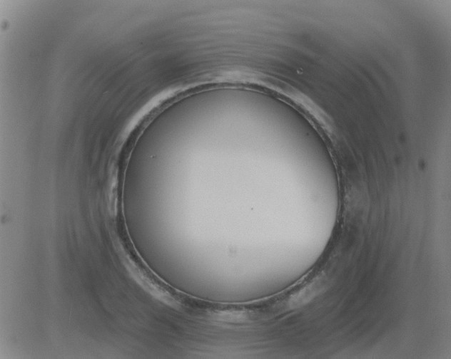 X0000083531126200702161905