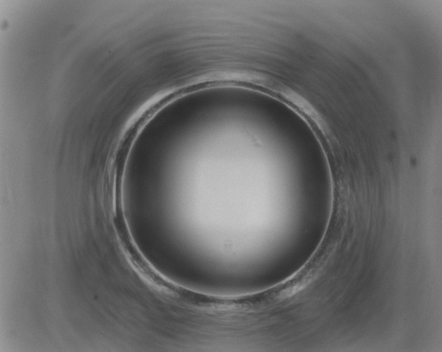 X0000083531127200702161905