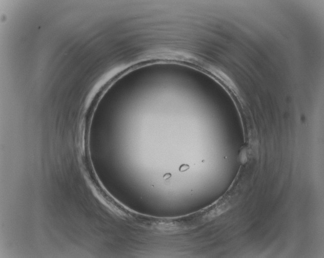 X0000083531128200702161905