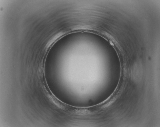 X0000083531129200702161905