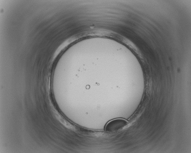 X0000083531130200702161906