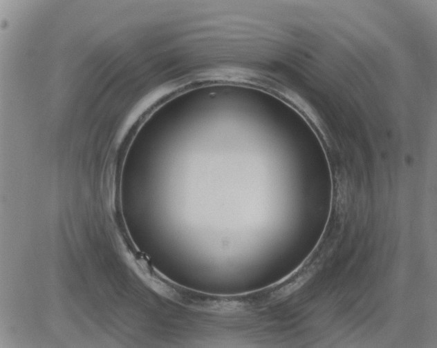 X0000083531131200702161906