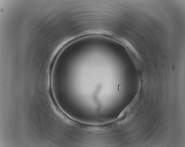 X0000083531132200702161906