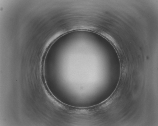 X0000083531135200702161906