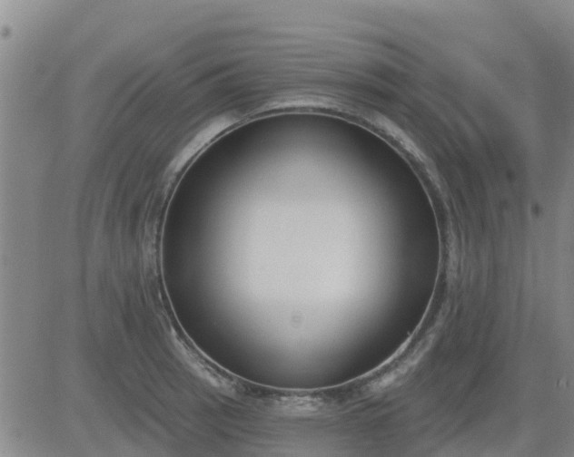 X0000083531137200702161906