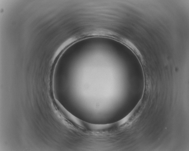 X0000083531138200702161906