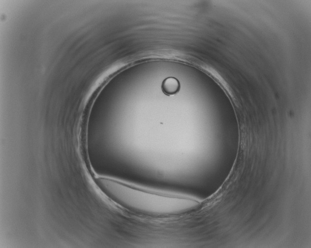 X0000083531139200702161906