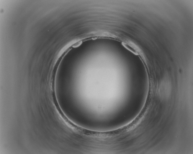 X0000083531141200702161906