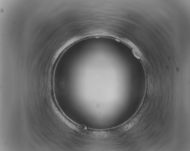 X0000083531142200702161906