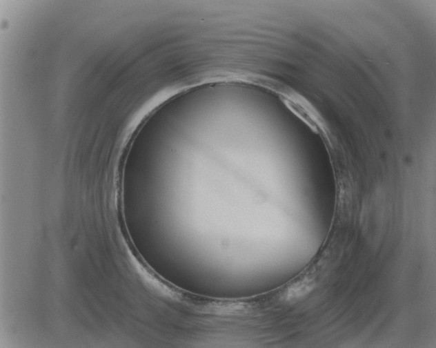 X0000083531143200702161906