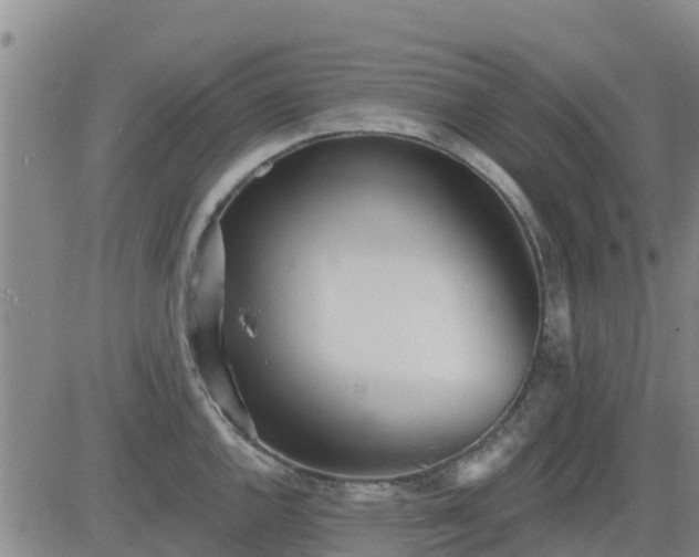 X0000083531144200702161906