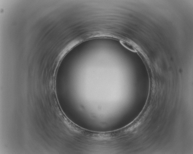 X0000083531145200702161906