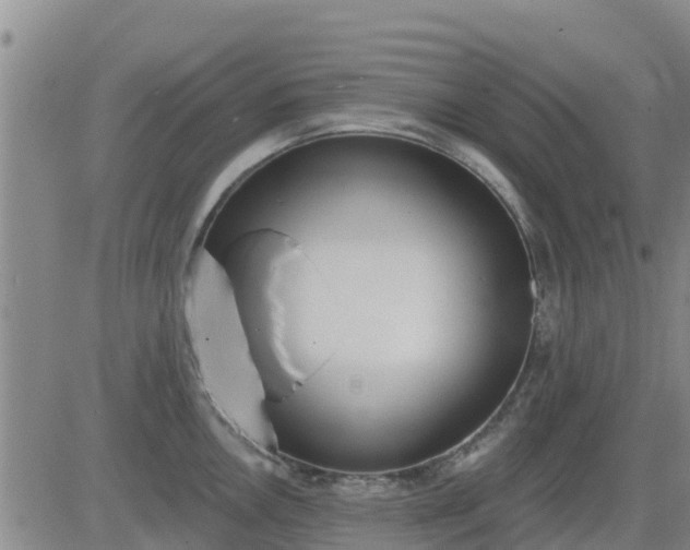 X0000083531146200702161906