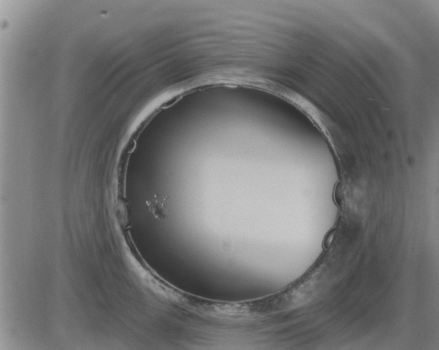 X0000083531147200702161906