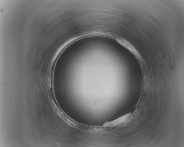 X0000083531148200702161906