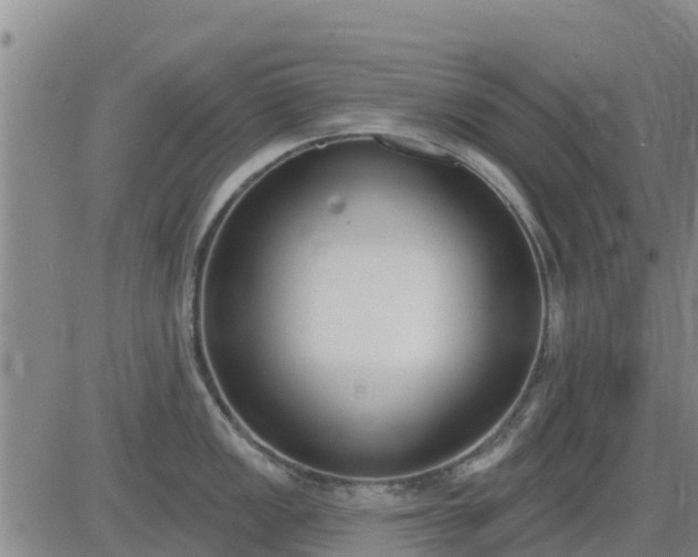 X0000083531149200702161906