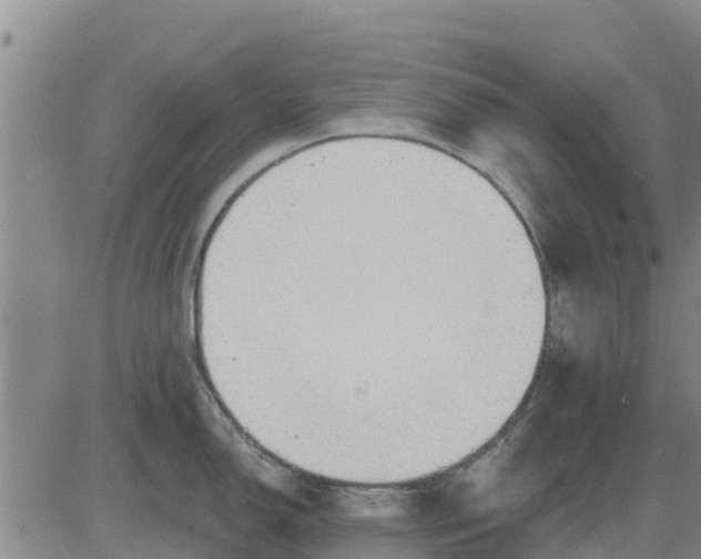 X0000083531150200702161906