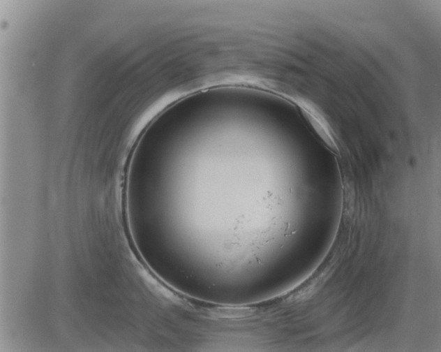 X0000083531151200702161906