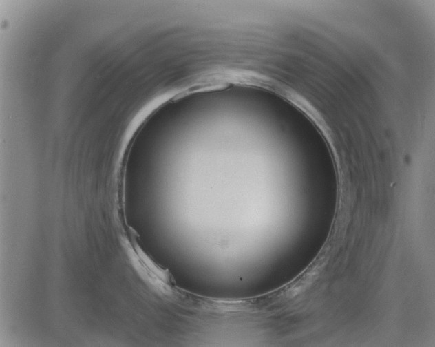 X0000083531152200702161906