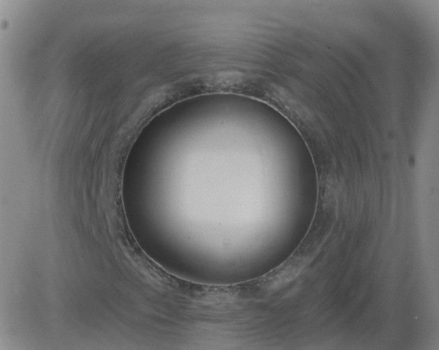 X0000083531153200702161905