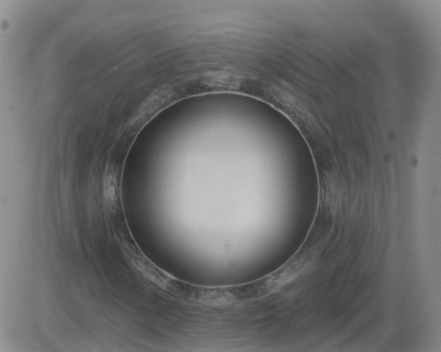 X0000083531154200702161905