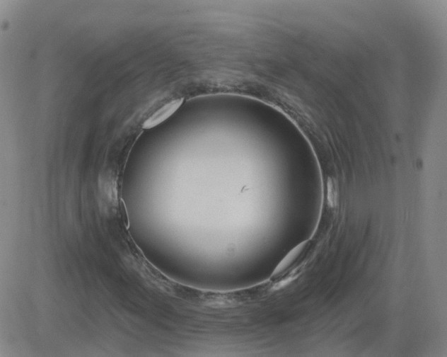 X0000083531155200702161905