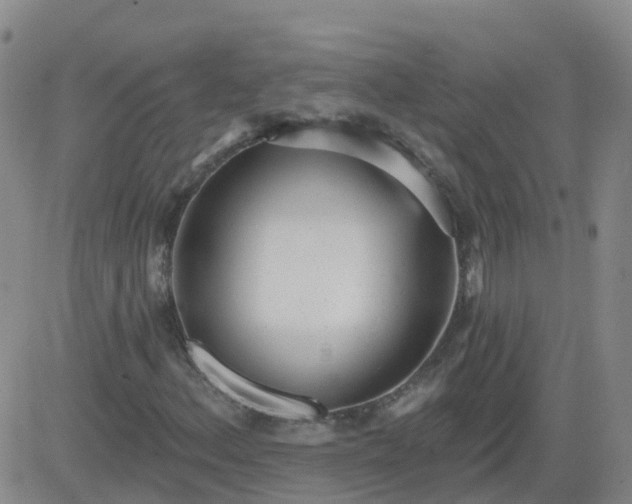 X0000083531156200702161905