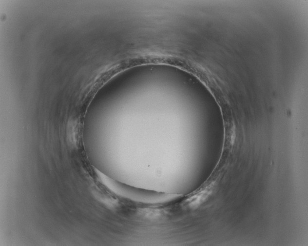 X0000083531157200702161905