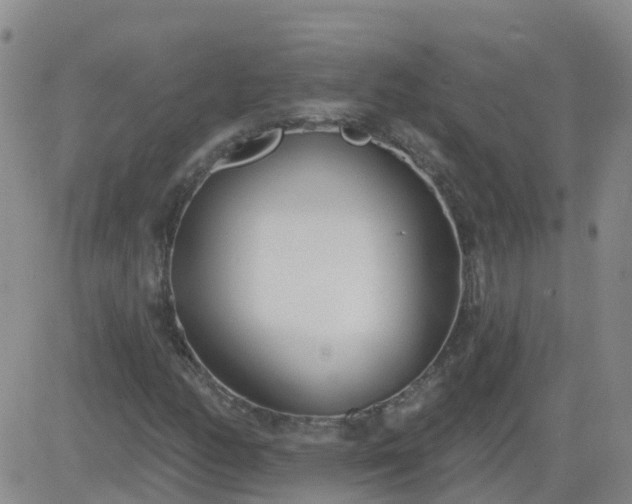 X0000083531158200702161905