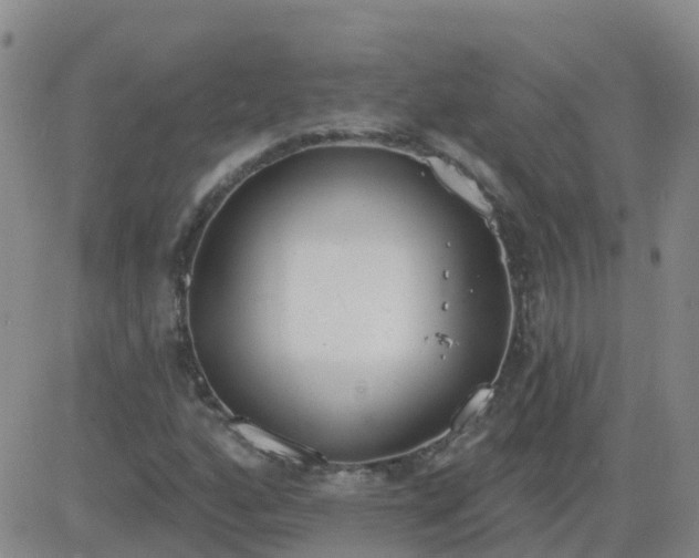 X0000083531160200702161905