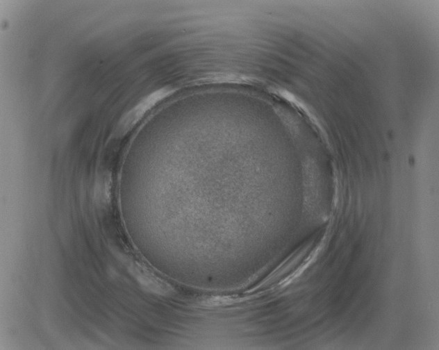 X0000083531161200702161905