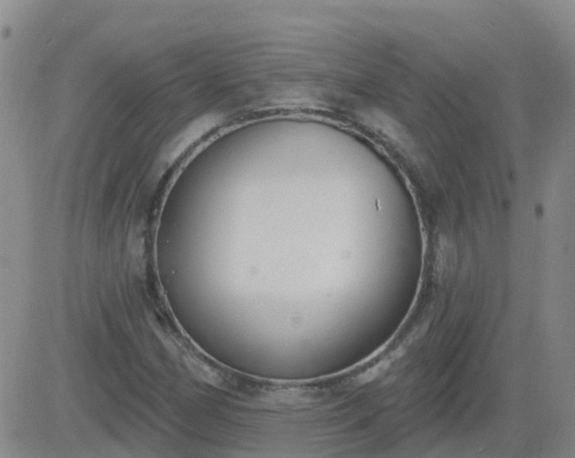 X0000083531162200702161905