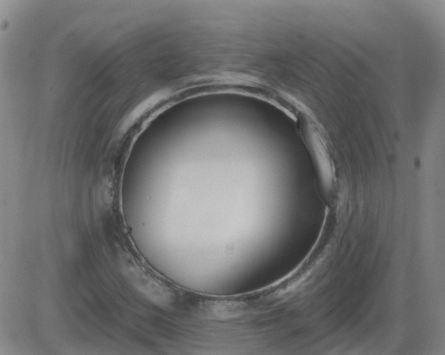 X0000083531163200702161905