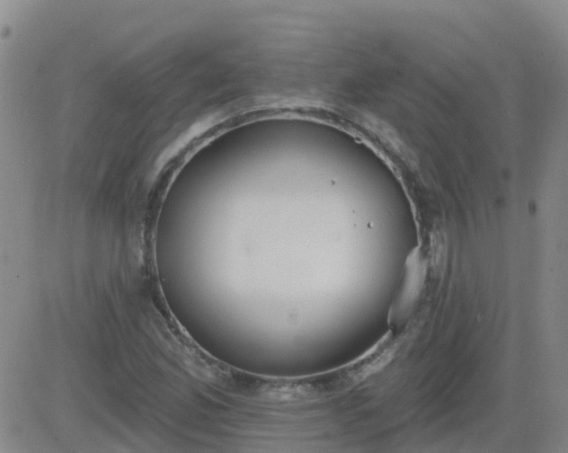 X0000083531165200702161905