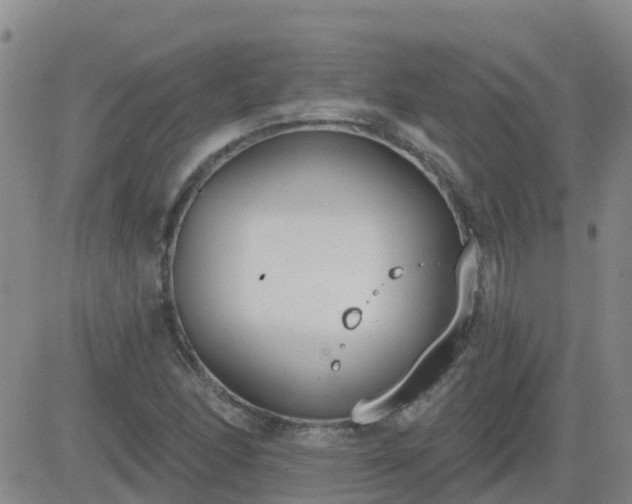 X0000083531166200702161905