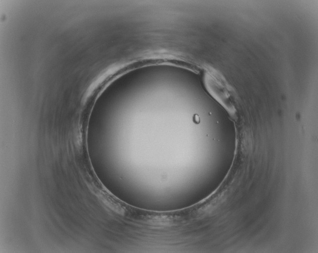 X0000083531167200702161905