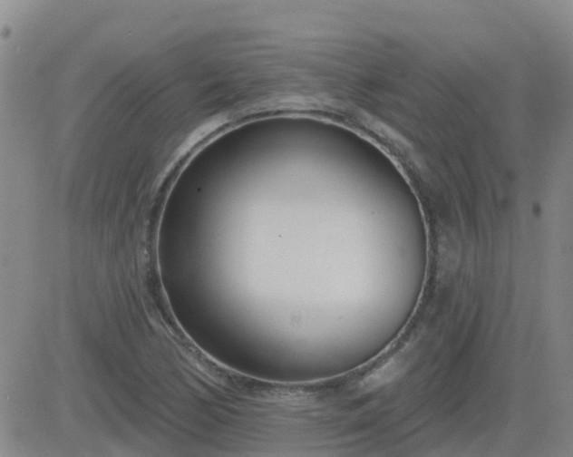 X0000083531170200702161905