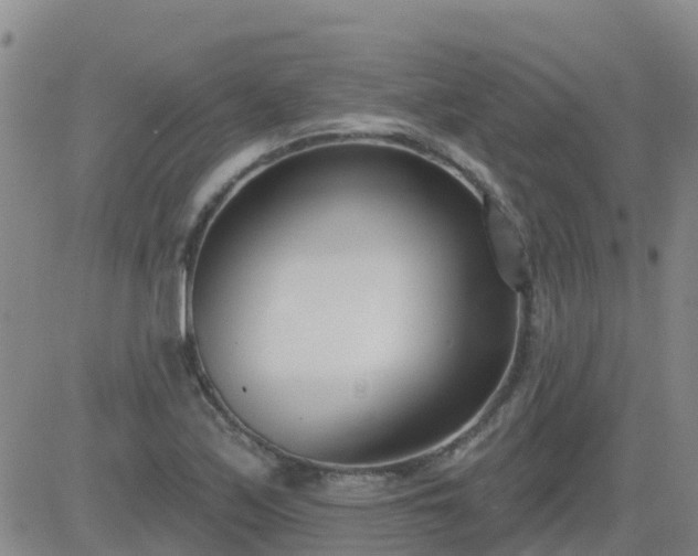 X0000083531171200702161905