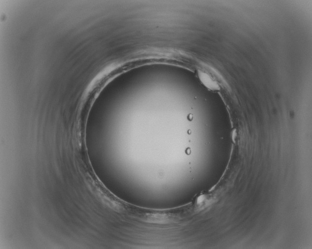 X0000083531172200702161905