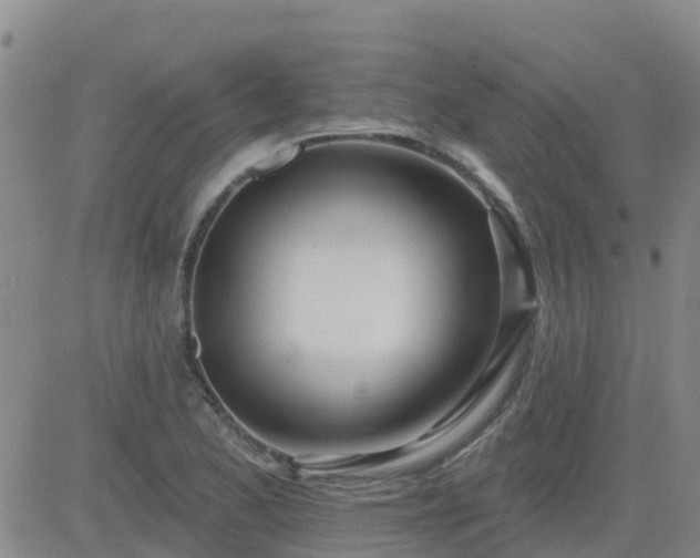 X0000083531173200702161905