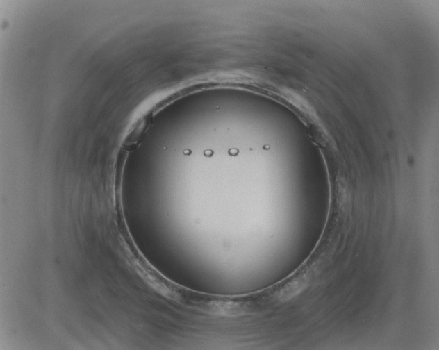 X0000083531176200702161905