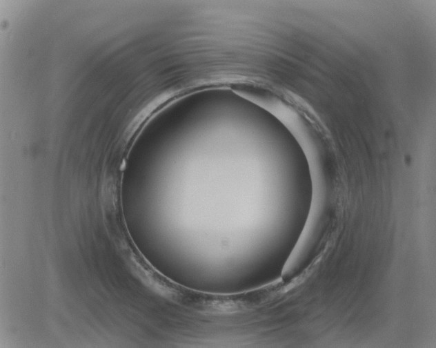 X0000083531177200702161905