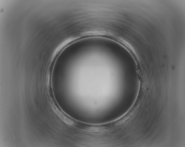 X0000083531179200702161905