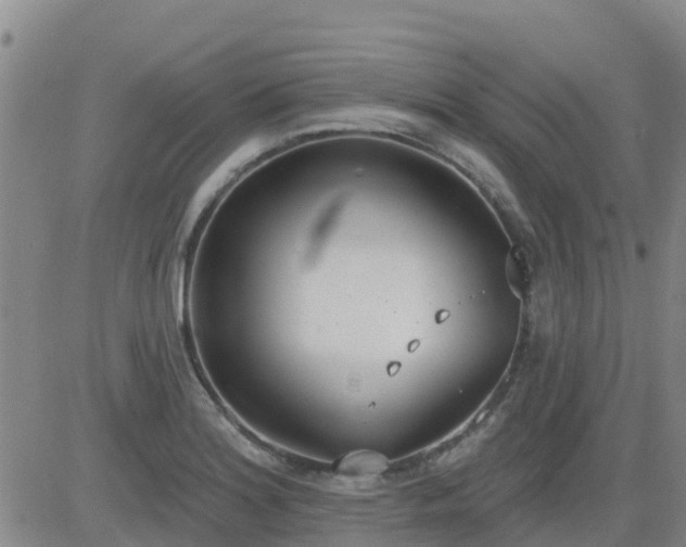 X0000083531180200702161905