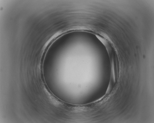 X0000083531181200702161905