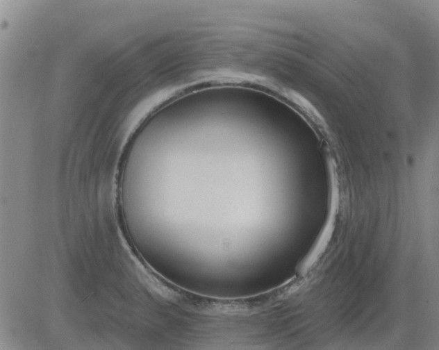 X0000083531183200702161905