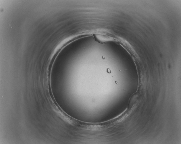 X0000083531184200702161905